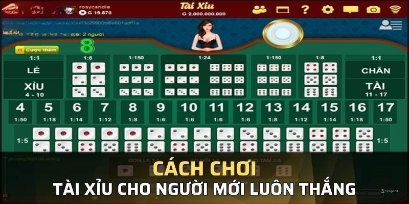 Cách chơi Tài Xỉu cho cược thủ tại VN88