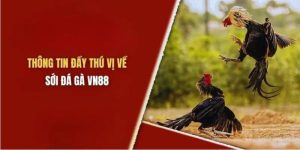 Đá gà VN88 - Giới thiệu chi tiết về trò chơi mới nhất 2024